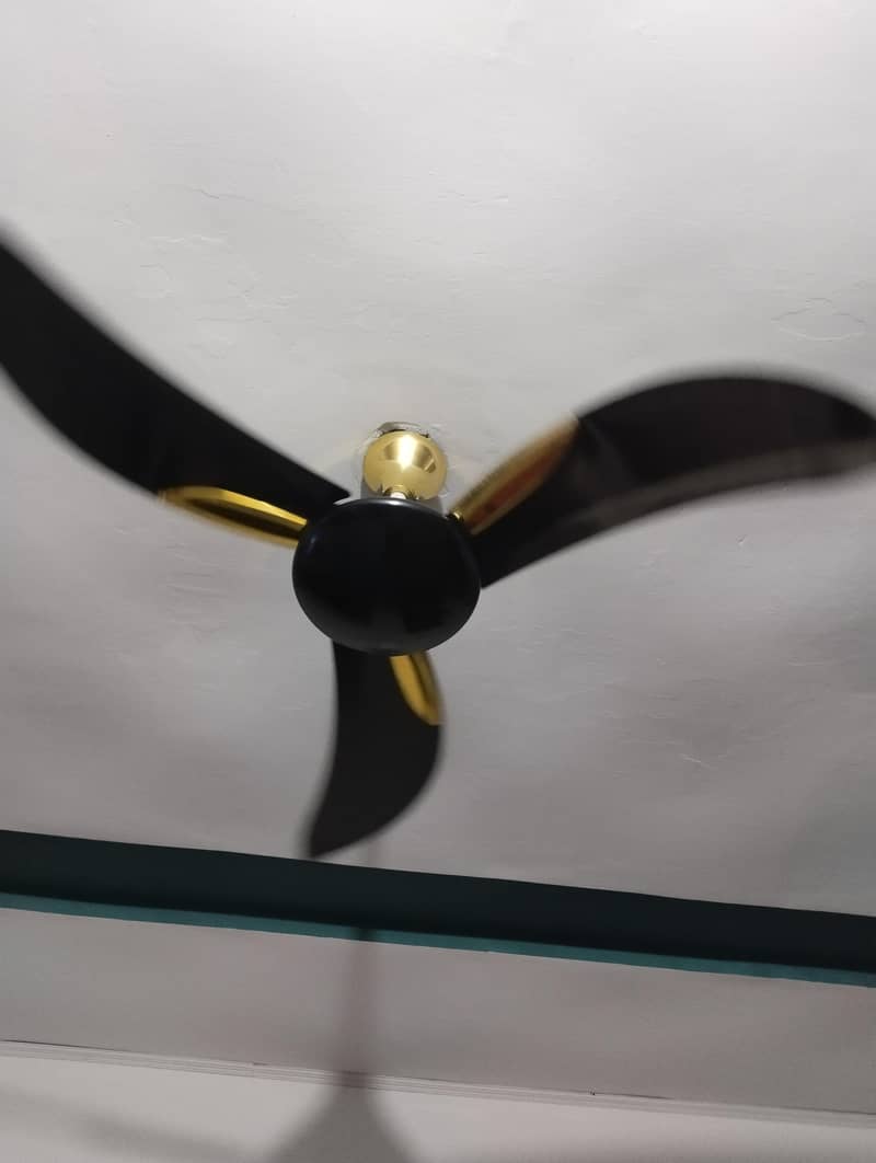 pak fan 1