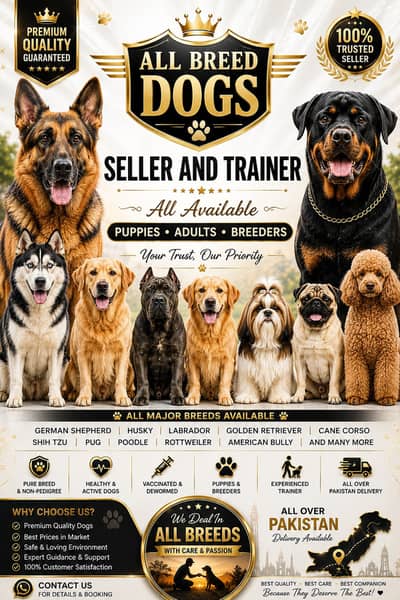 Dogs / Pupps | Black Shepherd | Pug | Poodle | Doberman | Rottwiler