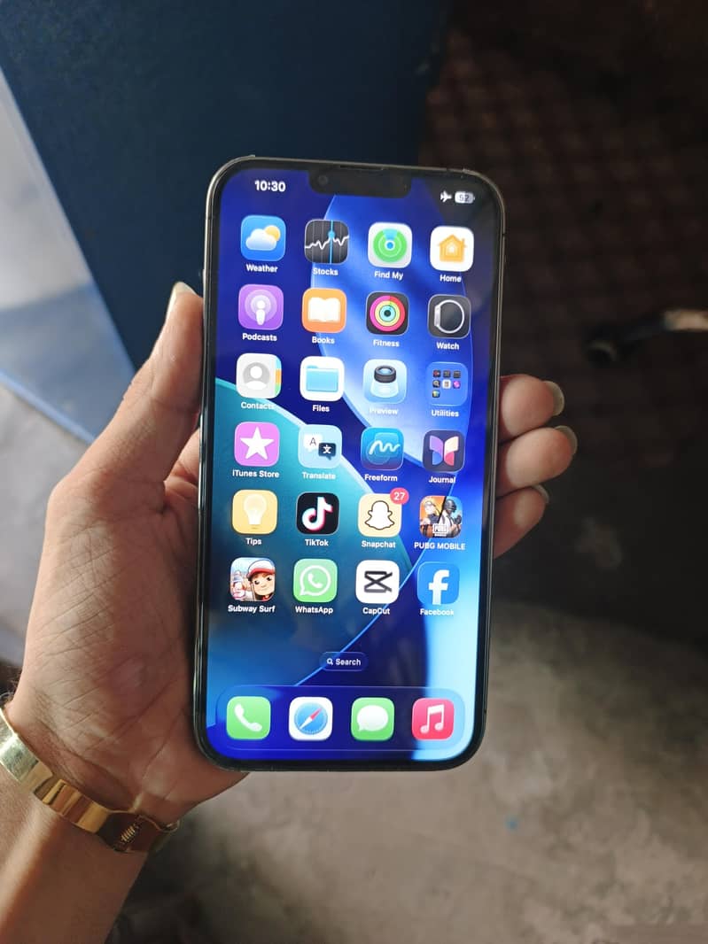 Apple iPhone 13 Pro Max 0