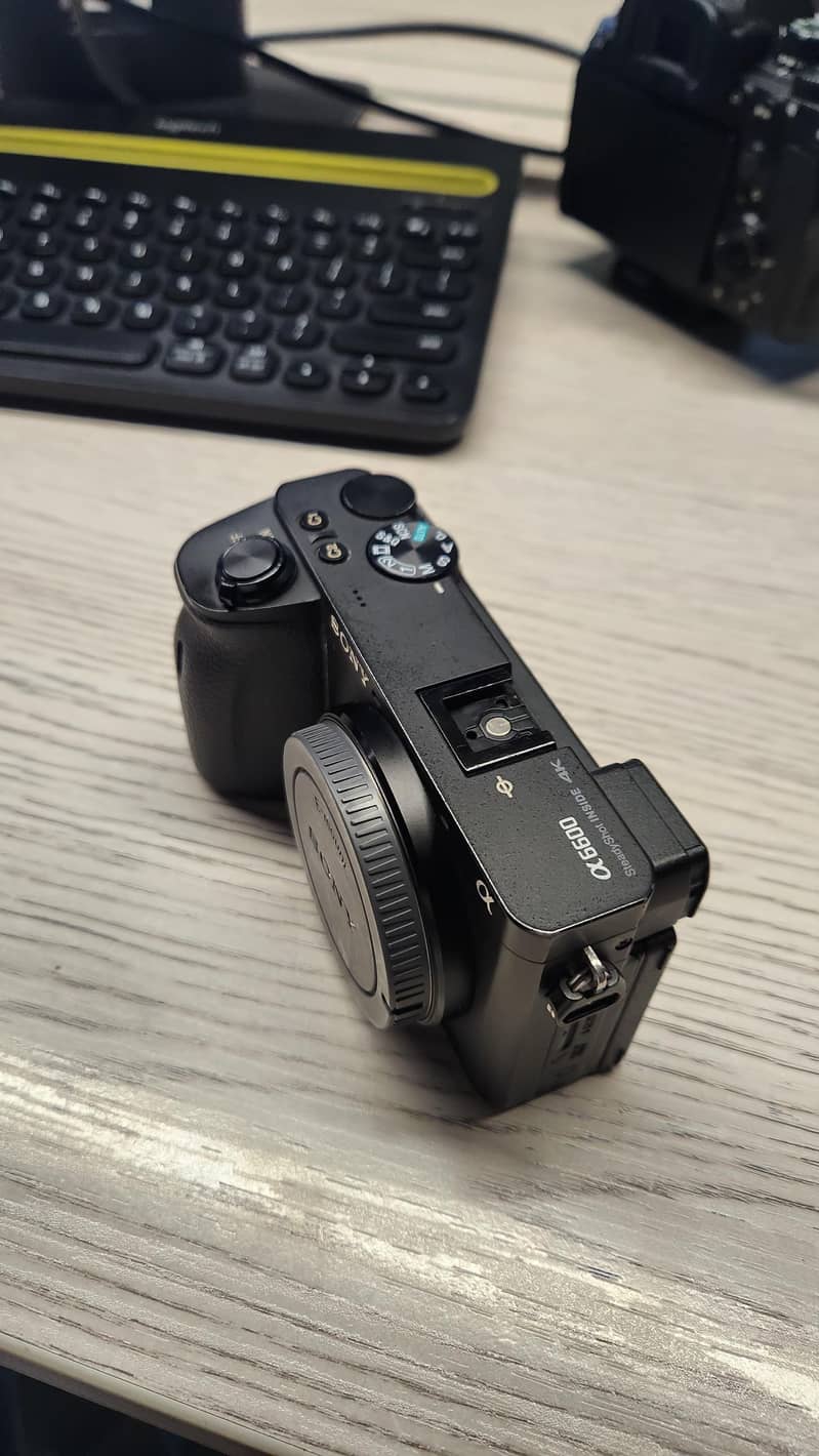 sony a6600 1