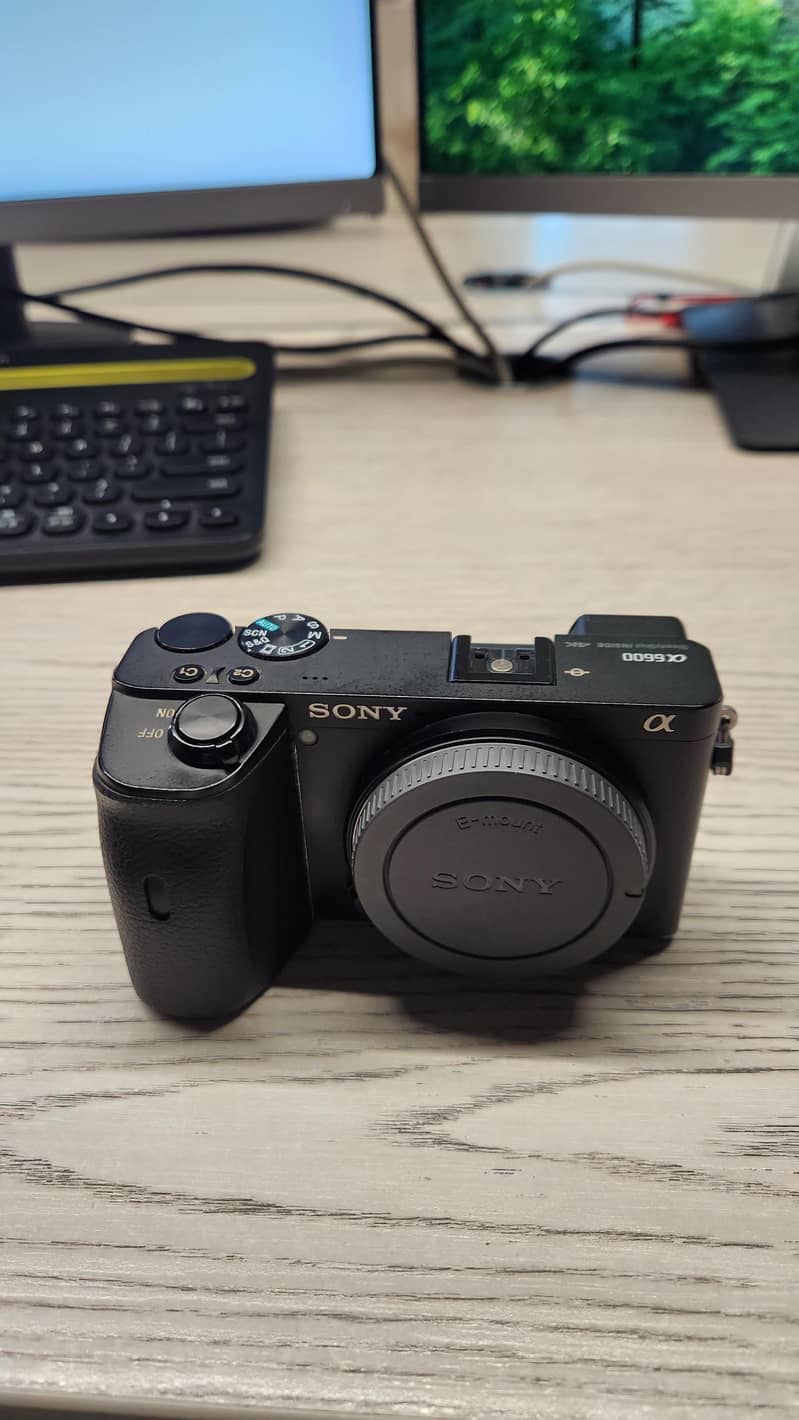 sony a6600 2