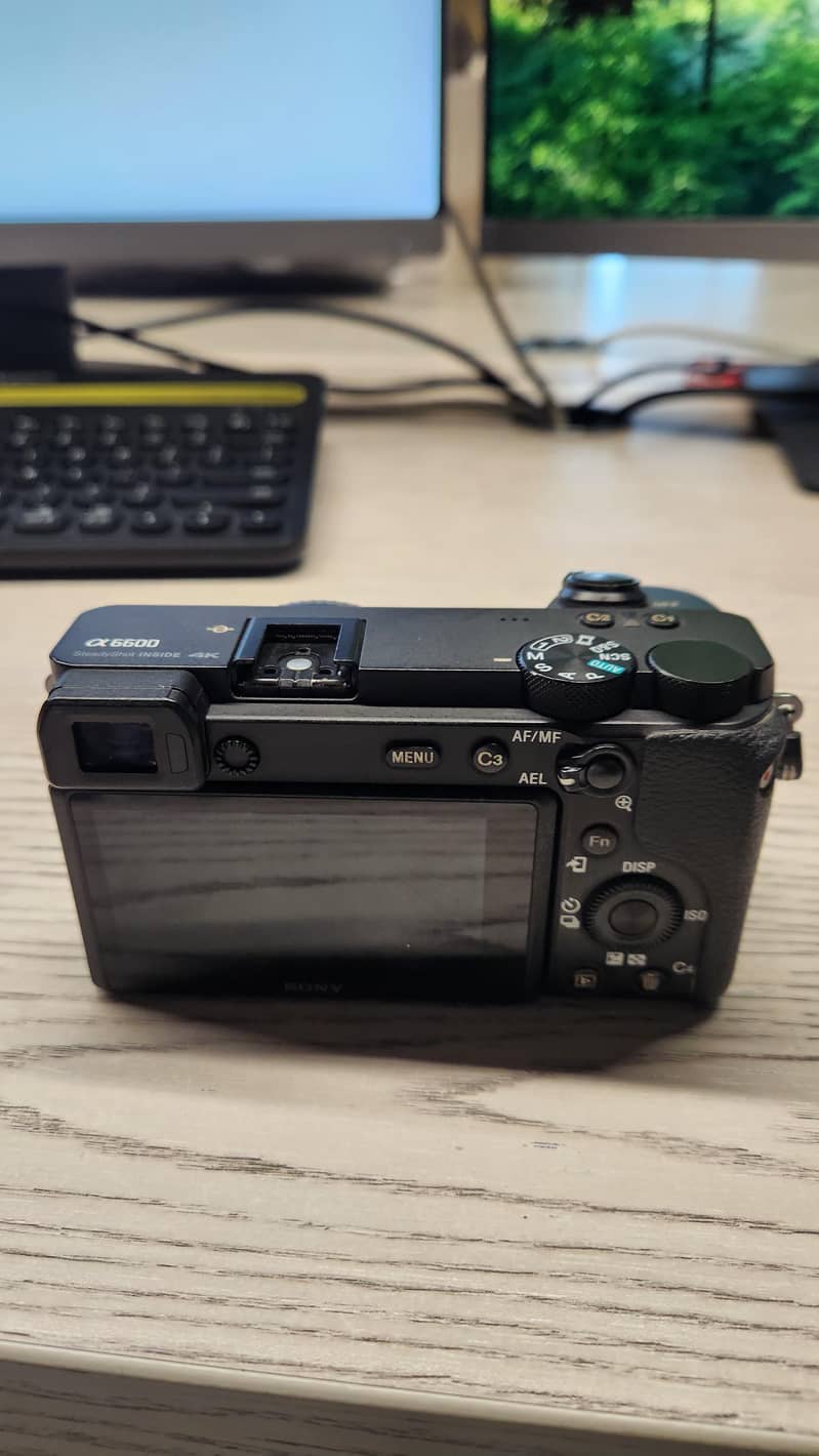 sony a6600 3