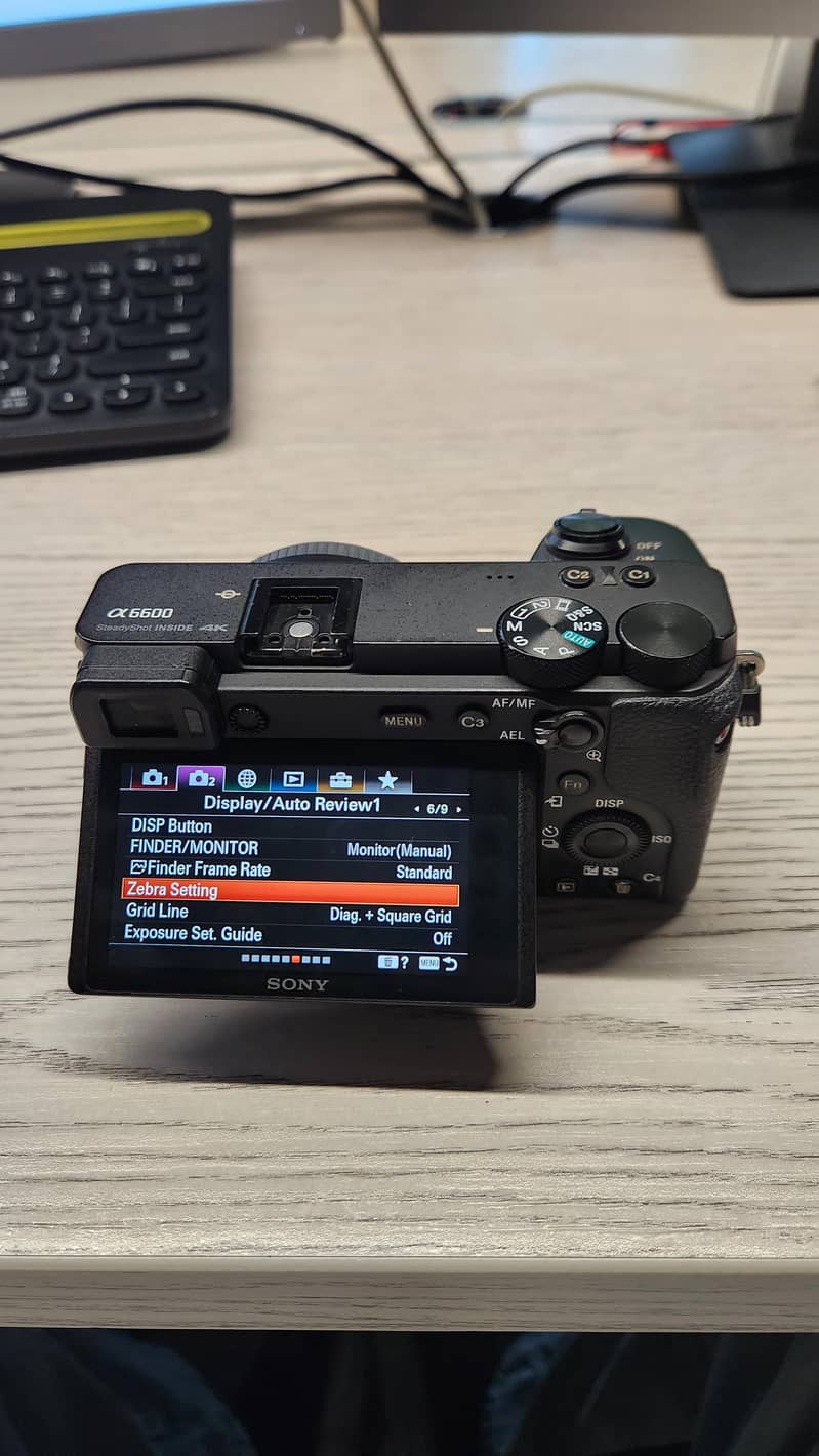 sony a6600 4