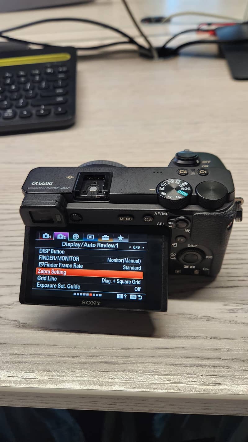 sony a6600 5