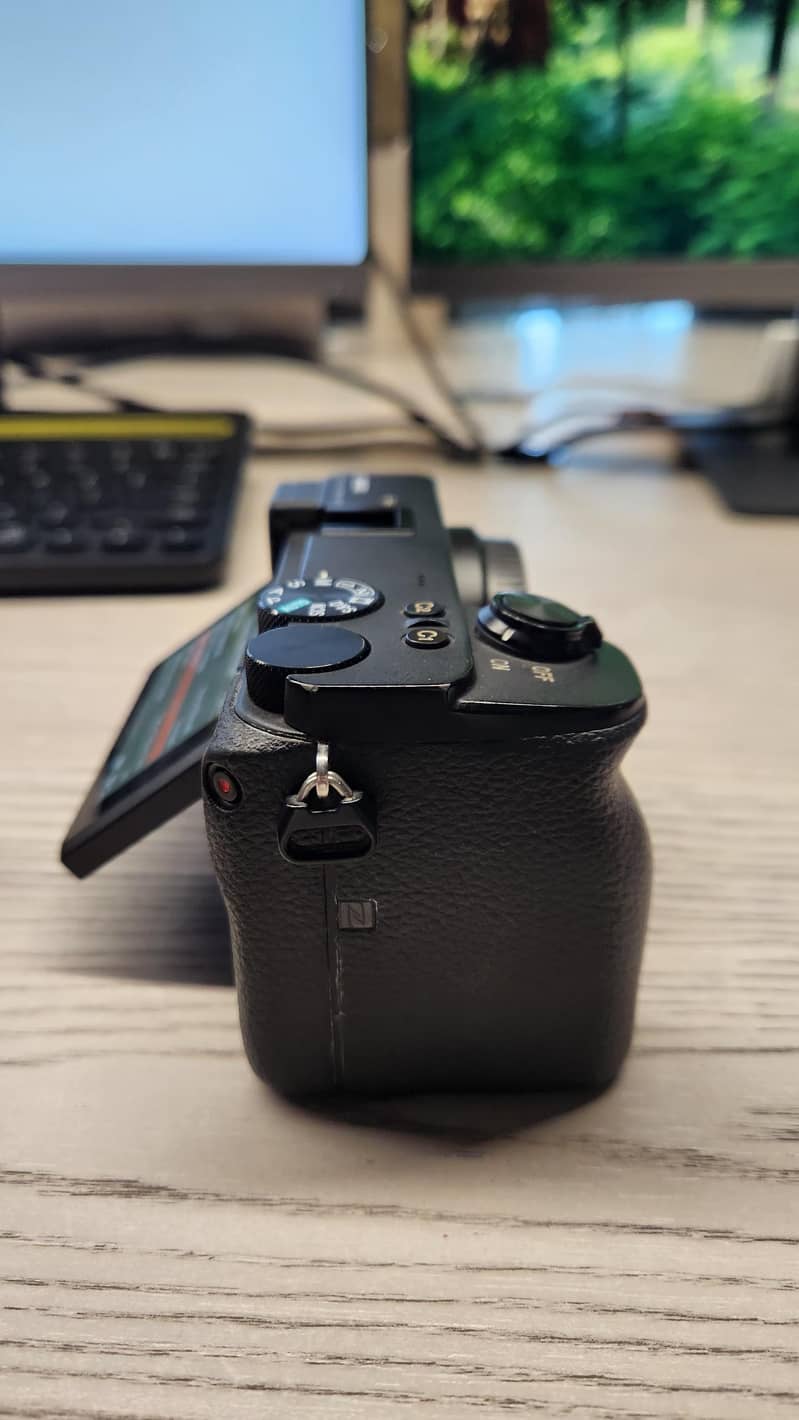 sony a6600 6