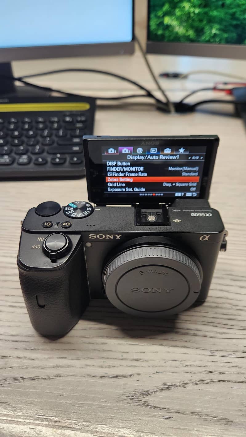 sony a6600 7