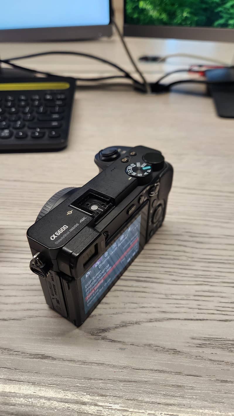 sony a6600 8