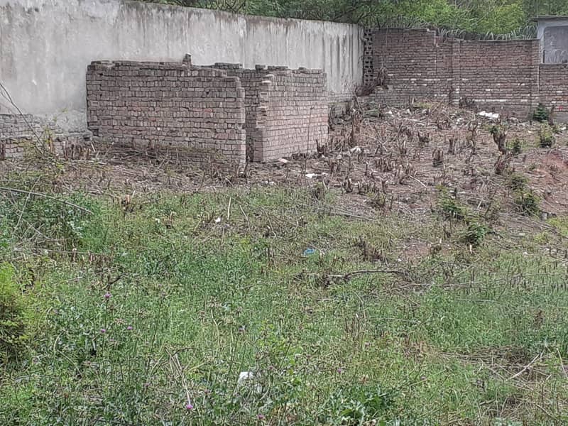 Lalazar valley plot 2