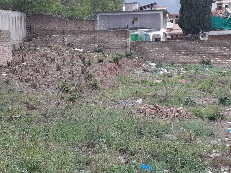 Lalazar valley plot 3