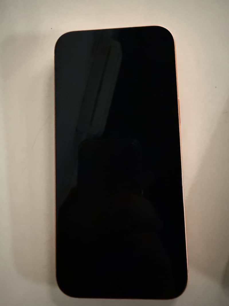 iPhone 17 Pro Max 1