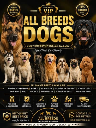 Belgian Shepherd |Bulldog | Chow Chow | Doberman All Type of dogs/Pups