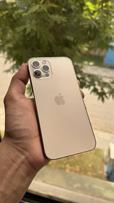Apple iPhone 12 Pro pta approved