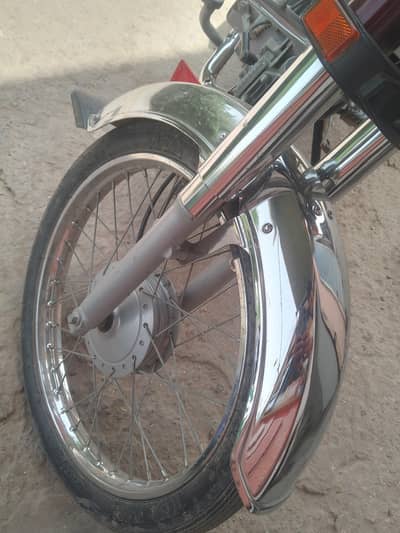 25 model lush condition