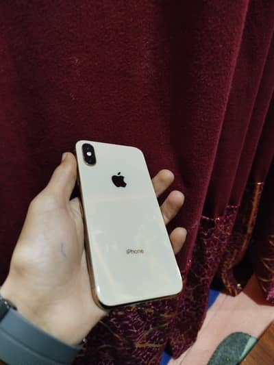 Apple iPhone X