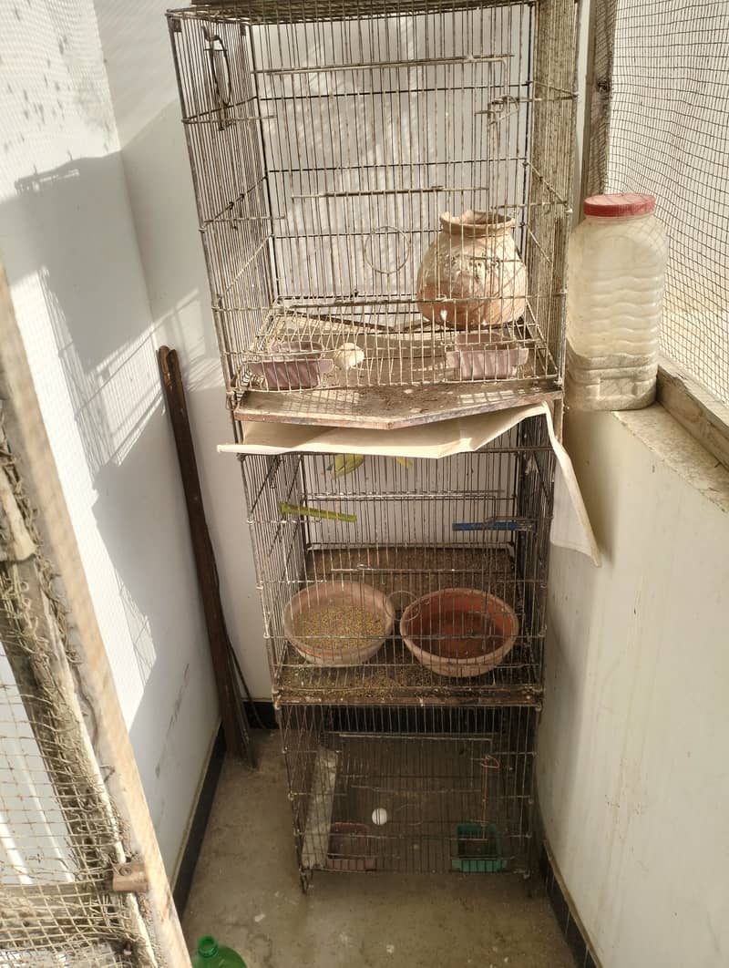 Cage 3 portion 1