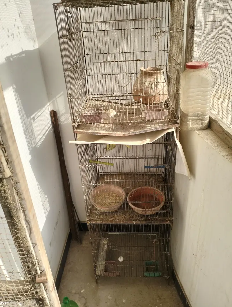 Cage 3 portion — photo 2