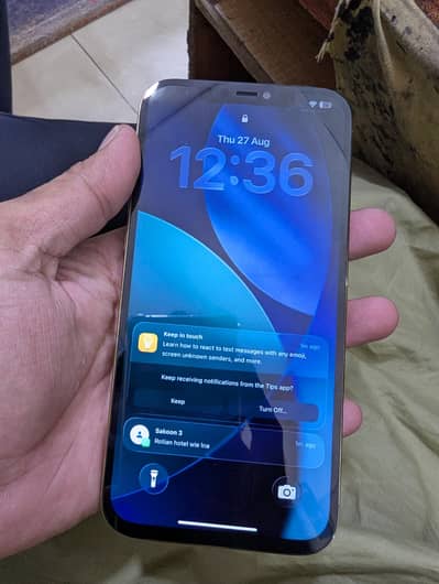 Apple iPhone 12 Pro Max