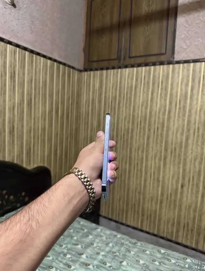 Apple iPhone 13 Pro Max 3