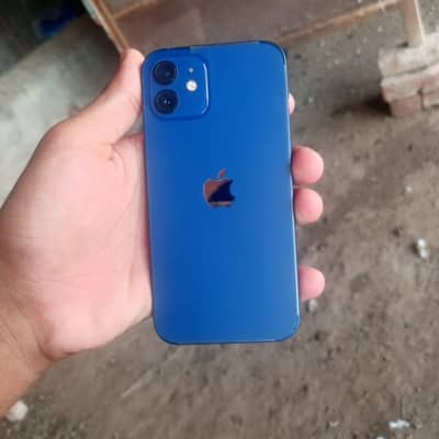 Apple iPhone 12