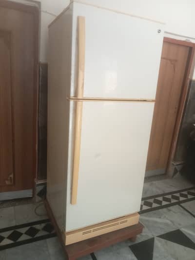 Large Size Fridge