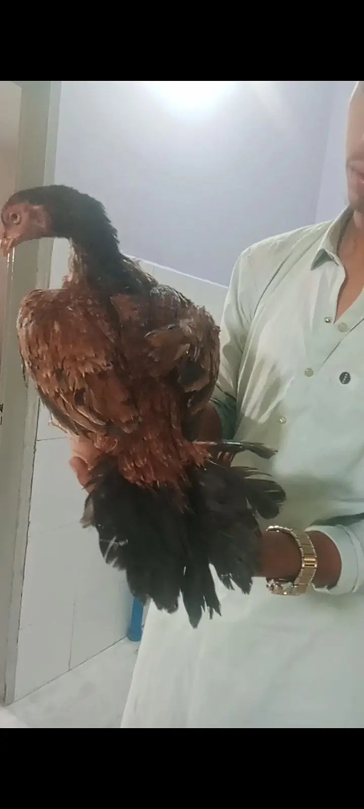 Kali madi mian2qli aur jawa madi hai joo bhai interested hai rabta — photo 2