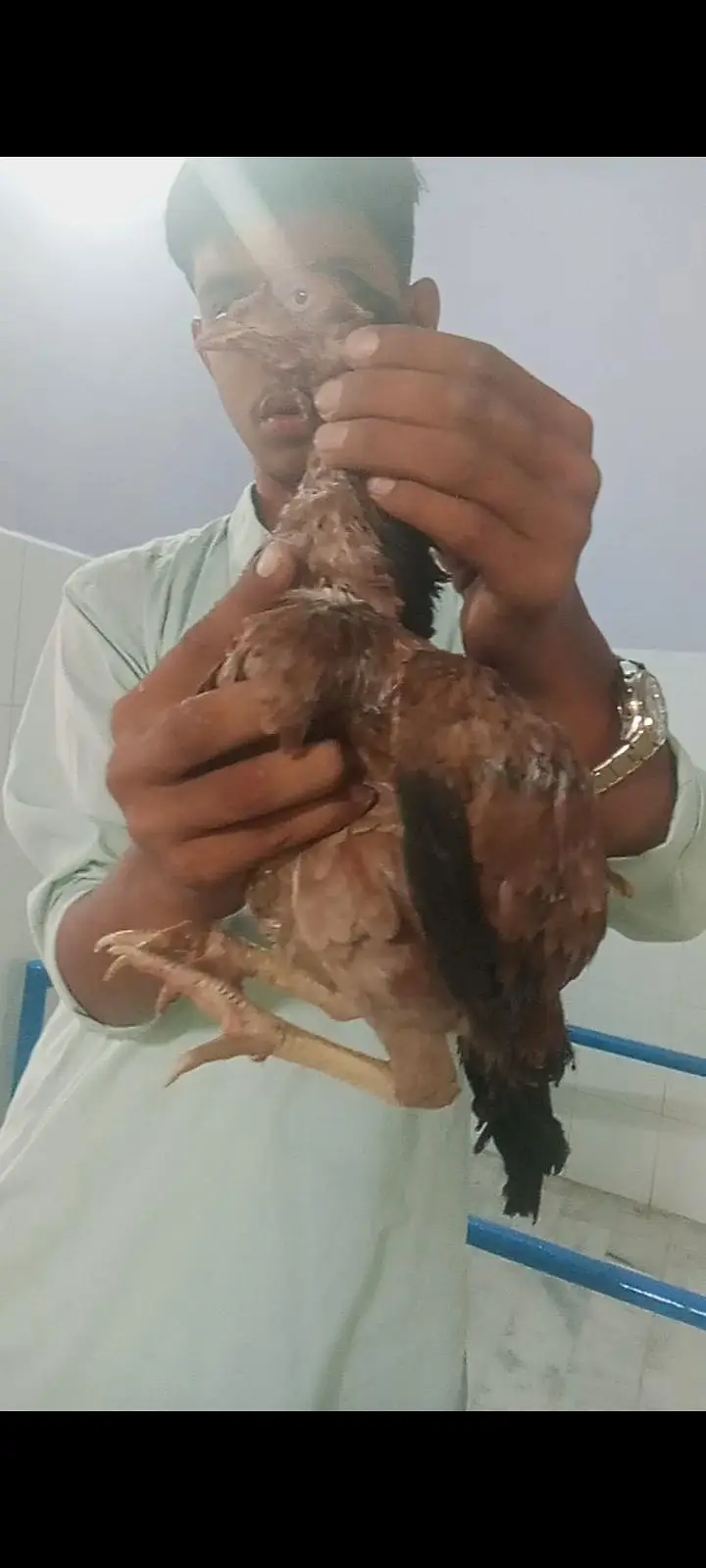 Kali madi mian2qli aur jawa madi hai joo bhai interested hai rabta — photo 6