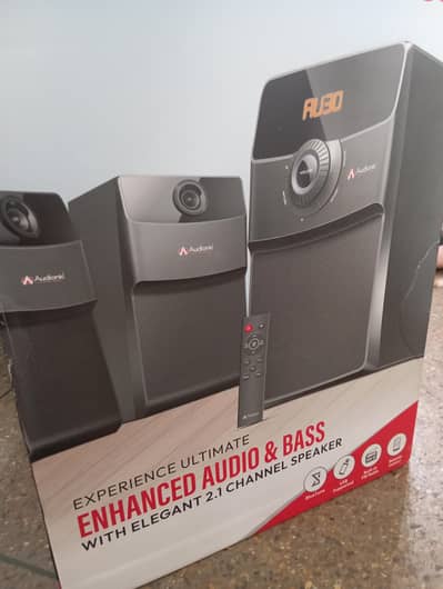 Audionic speaker