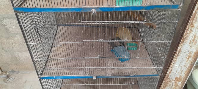 cage for birds 4 partition cage 2x2.5