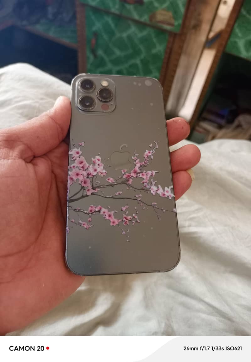 Apple iPhone 12 Pro 3