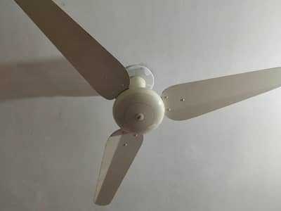 fan for sale