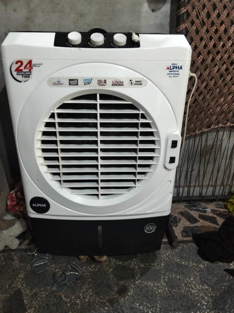 condition 10+10.2manth us 2