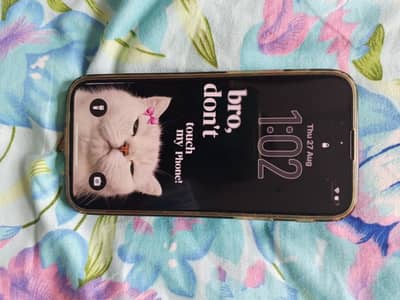 Apple iPhone 13 mini