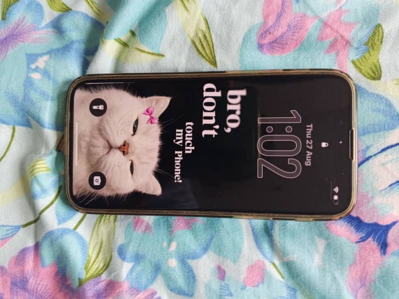 Apple iPhone 13 mini 0