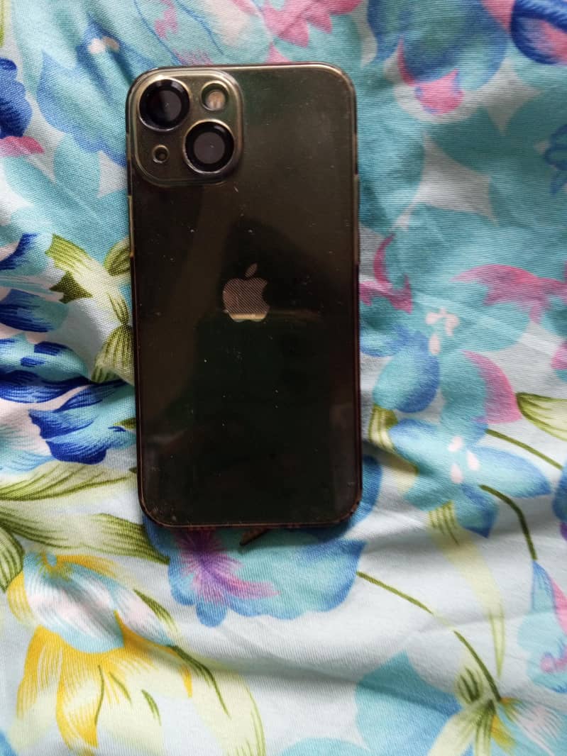 Apple iPhone 13 mini 1