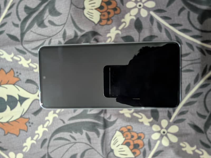 Google Pixel 8 Pro 0