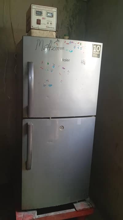 Haier Feerij Medium sized