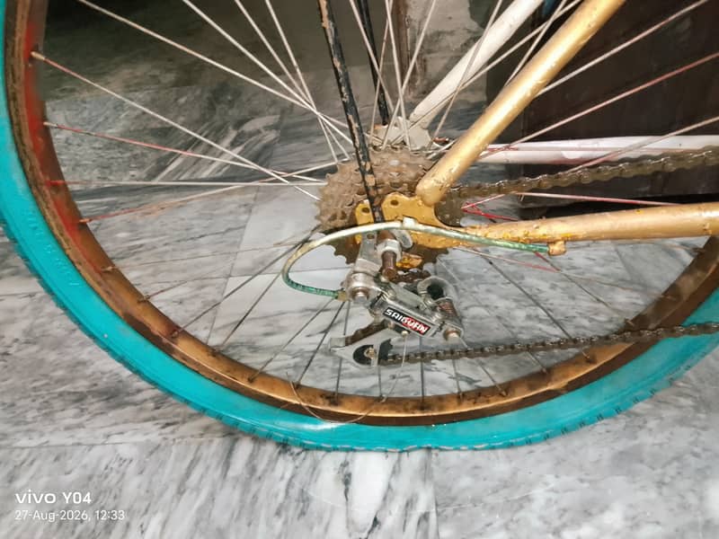 bicycle 6