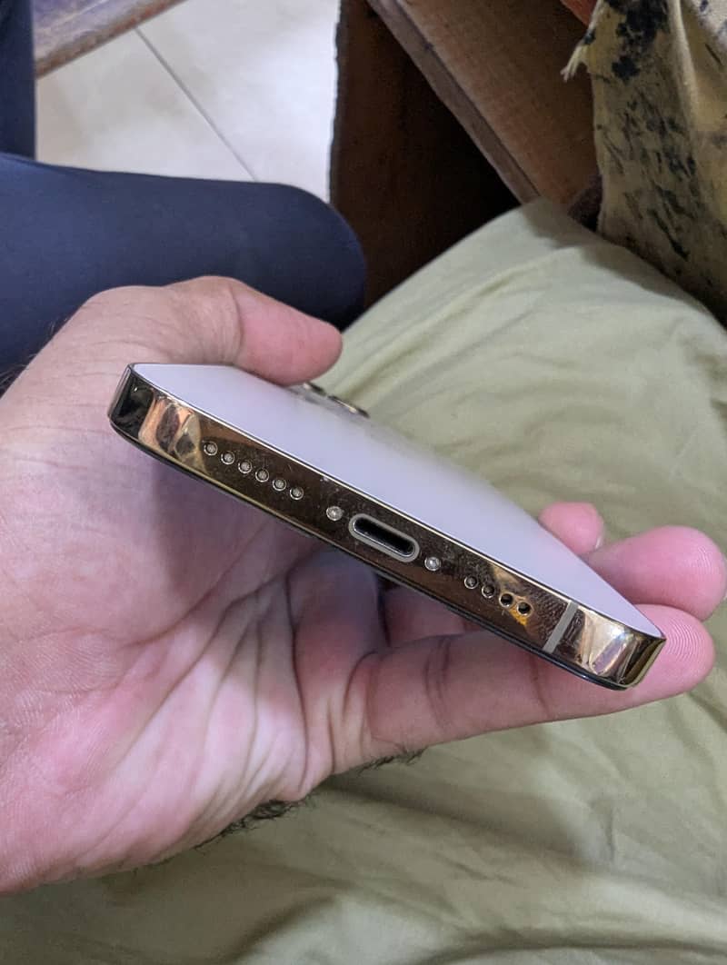 Apple iPhone 12 Pro Max 1