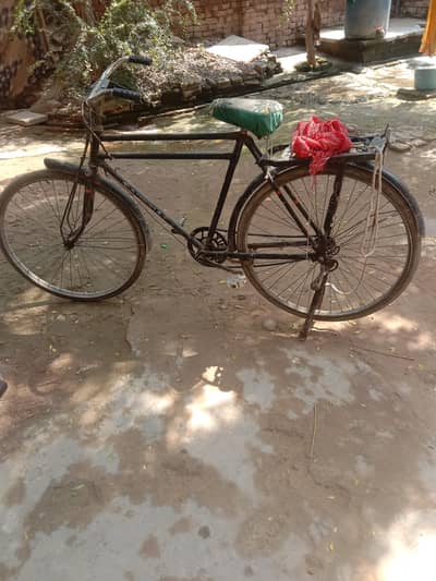 full siZe Cycle For sale near peshawar