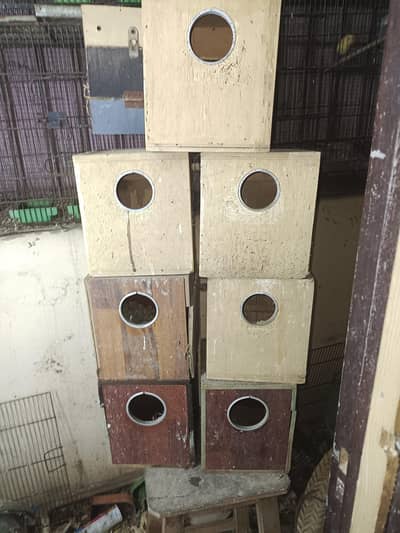 Love bird boxes 200