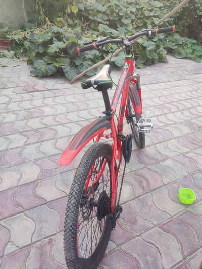 full ok cyclee