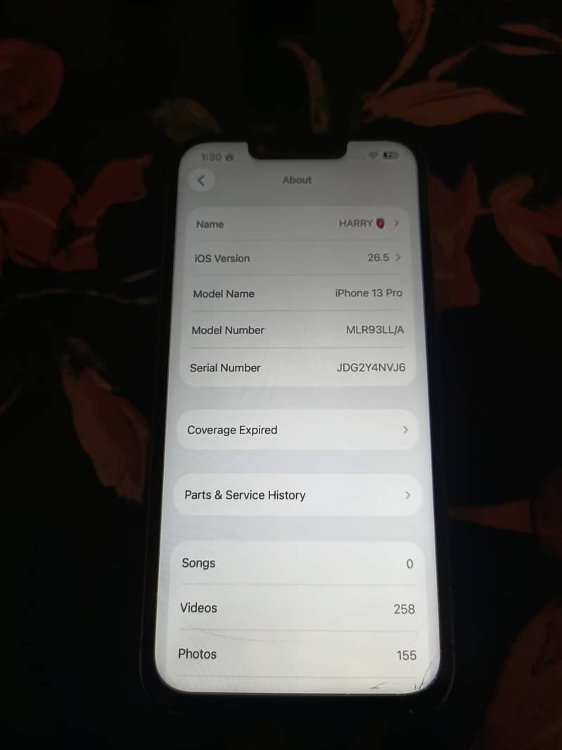 Apple iPhone 13 Pro 1