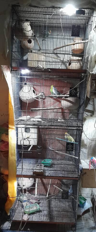 FOur PORTION FOLDING CAGE