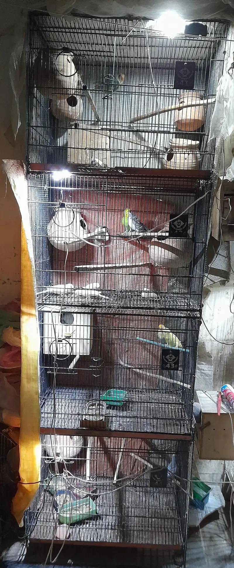 FOur PORTION FOLDING CAGE