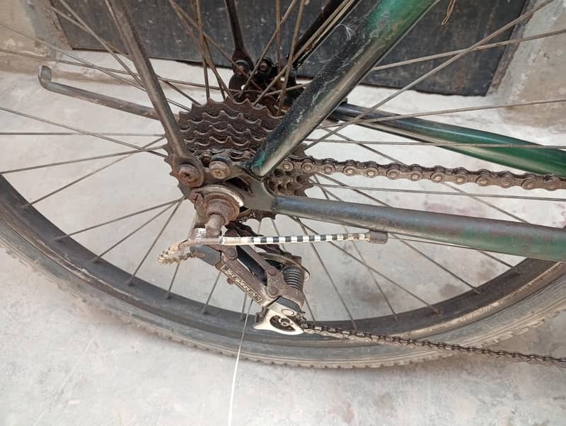 phoenix bicycle 1