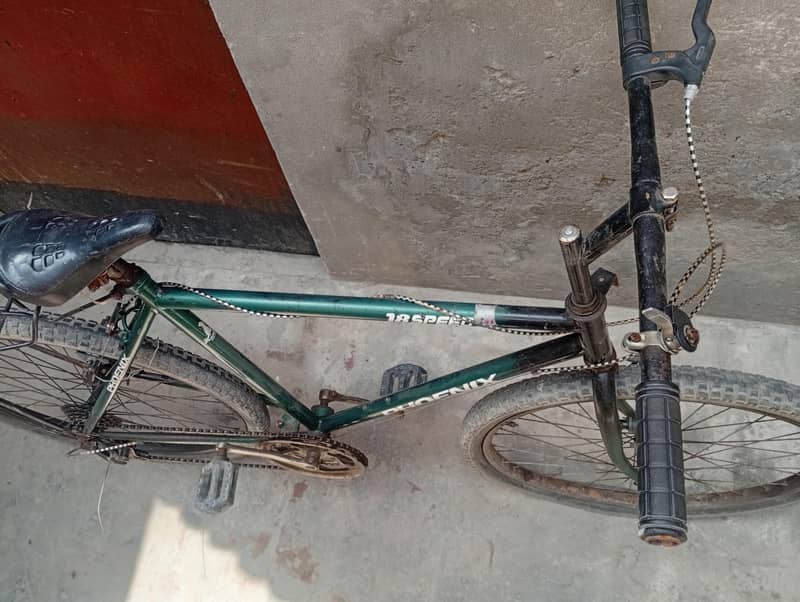 phoenix bicycle 2