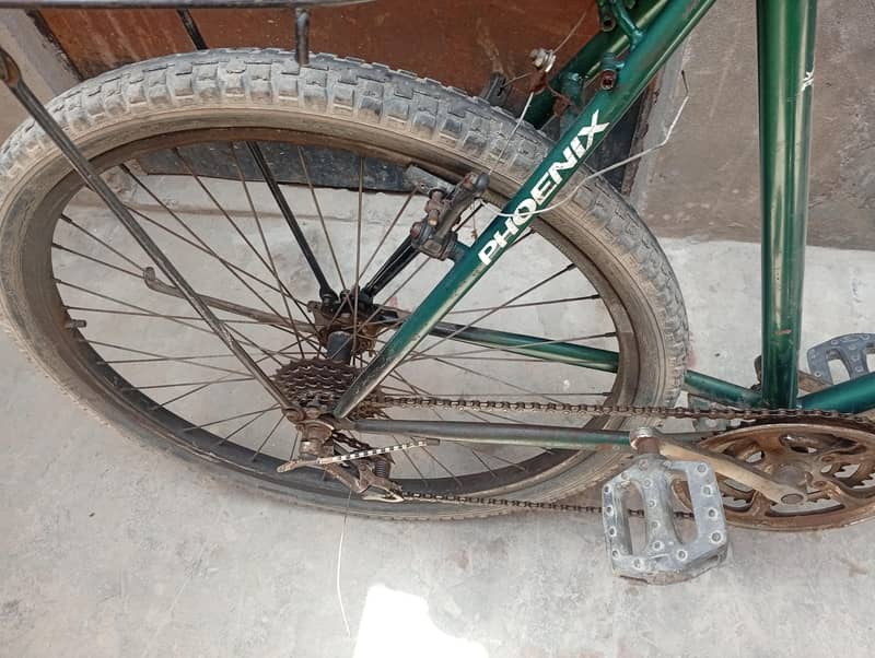 phoenix bicycle 3