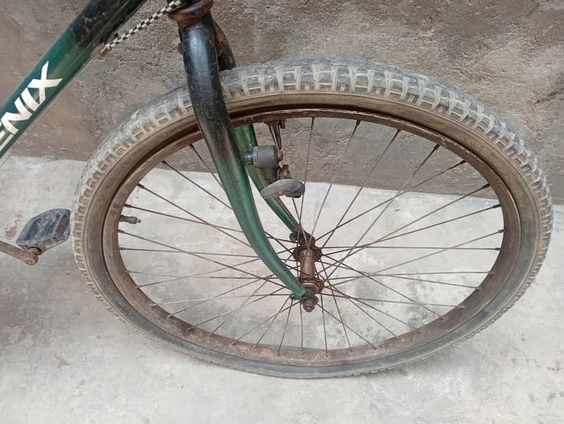 phoenix bicycle 4