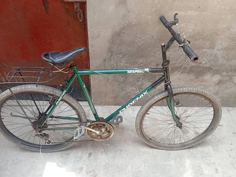 phoenix bicycle 5