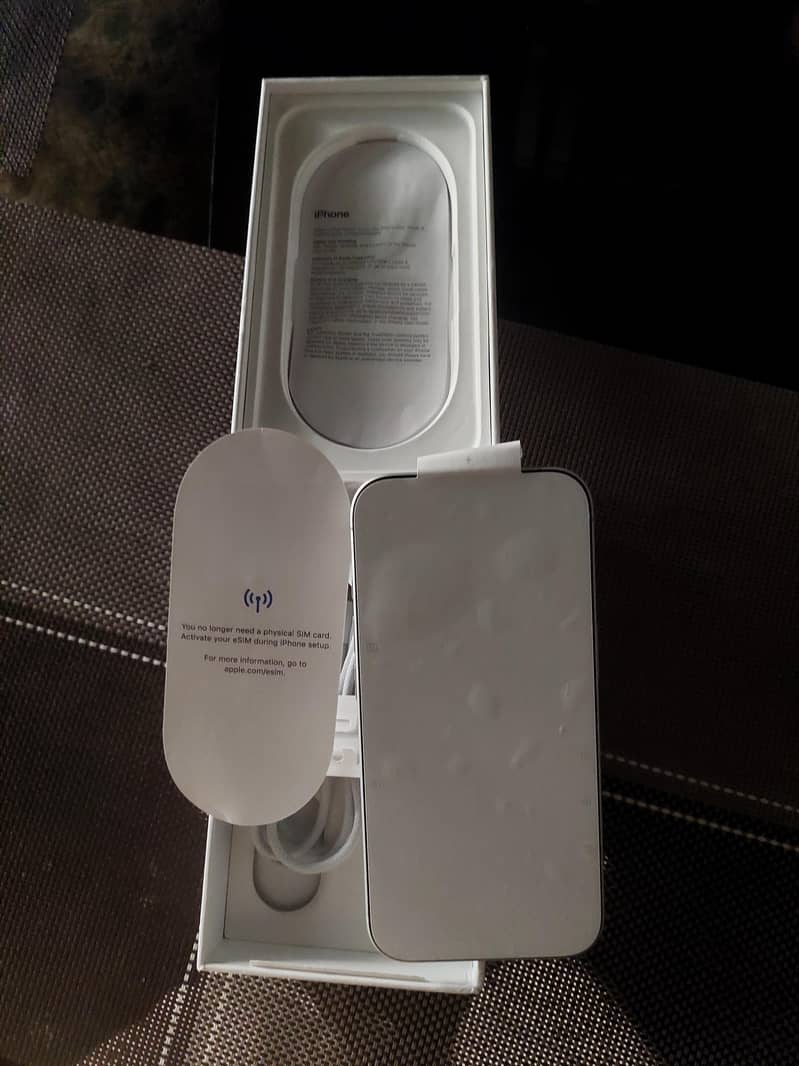 Apple iPhone 16 1